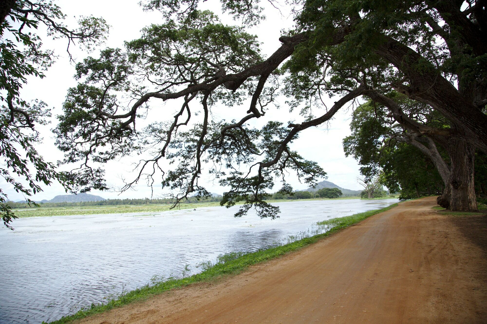 Naturehawks Safari Villa Tissamaharama Exteriér fotografie